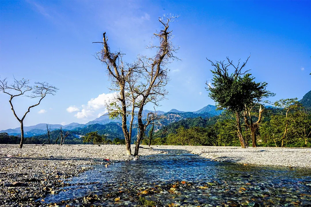 DOOARS WILD ESCAPE Image