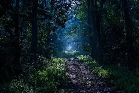 DOOARS WILD ESCAPE Image