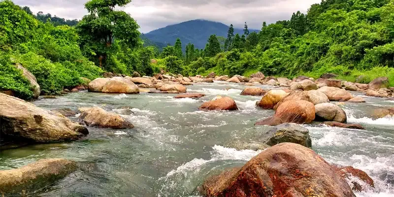 DAZZLING DOOARS TRAIL Image