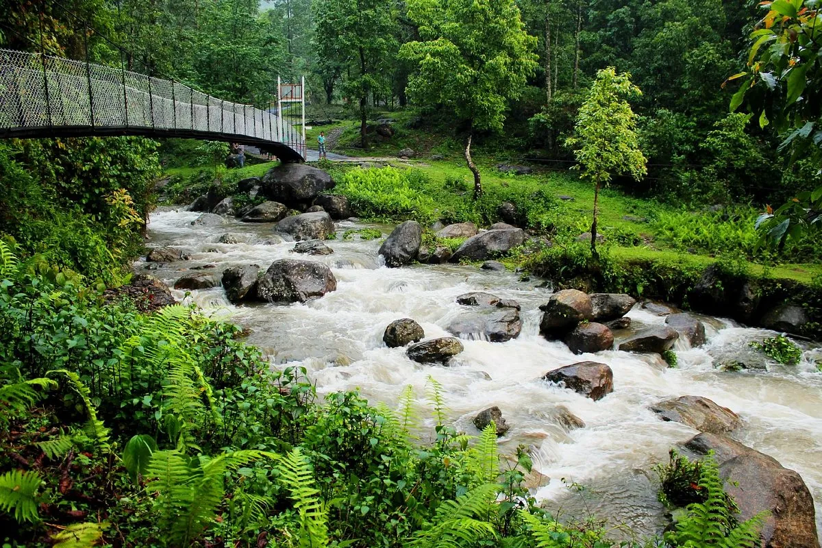 DAZZLING DOOARS TRAIL Image