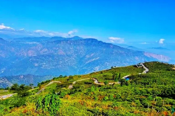 OFFBEAT DARJEELING Image